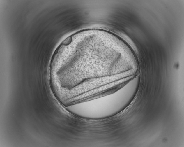 X0000098171436200805151106