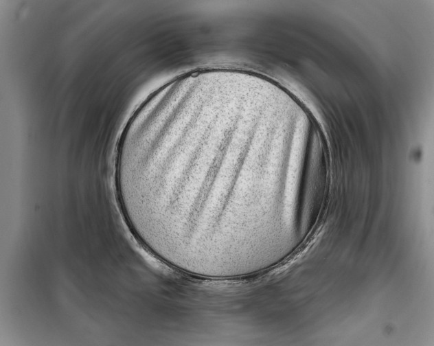 X0000098171437200805151106