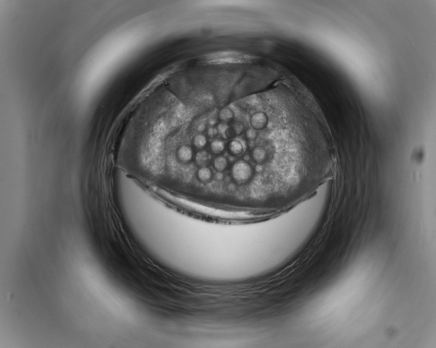 X0000098171438200805151106