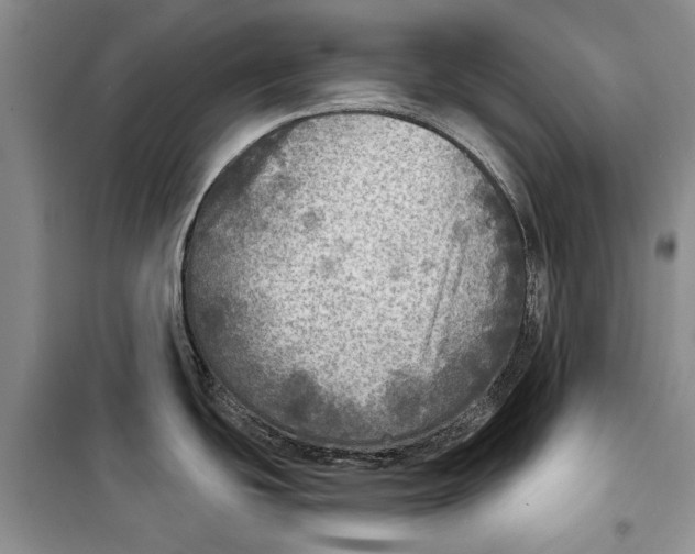 X0000098171439200805151106