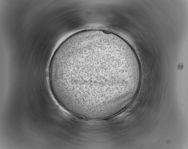 X0000098171440200805151106