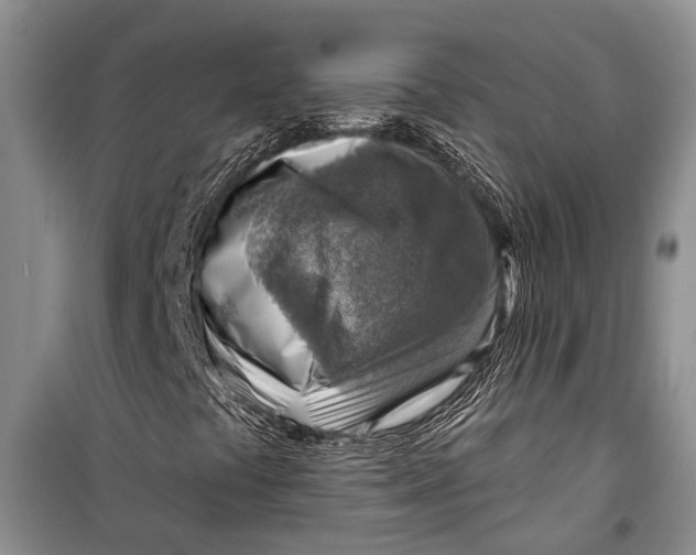 X0000098171441200805151106