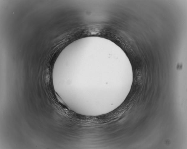 X0000098171442200805151106