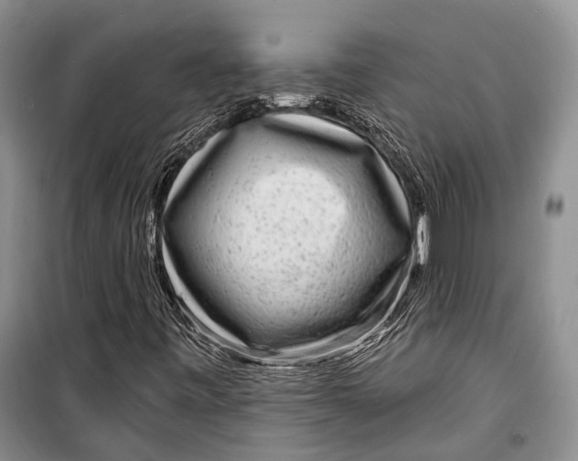 X0000098171443200805151105