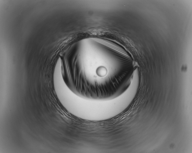 X0000098171444200805151105