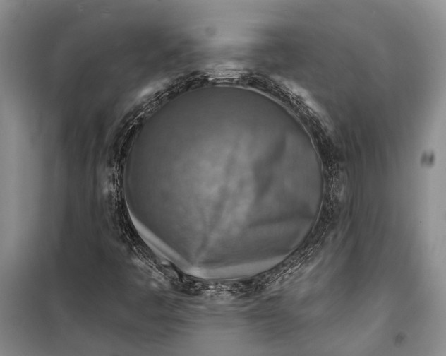 X0000098171445200805151105