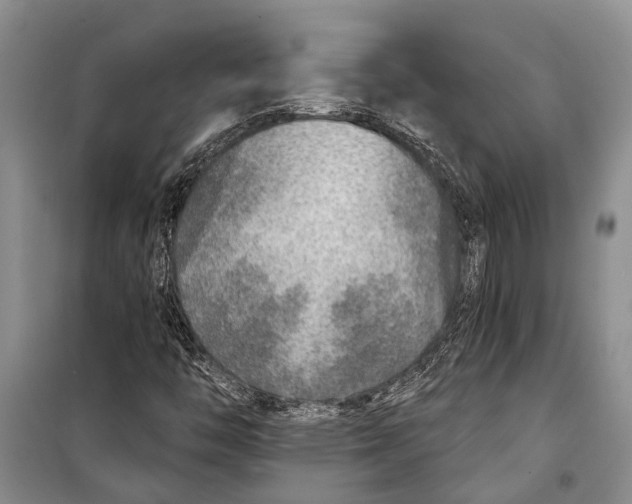 X0000098171446200805151105