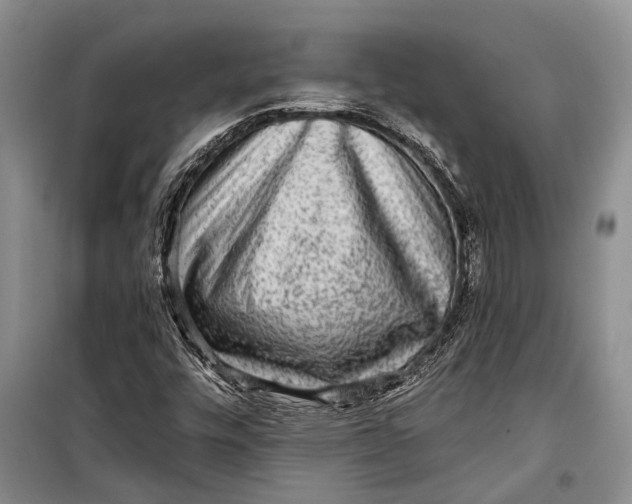 X0000098171448200805151105