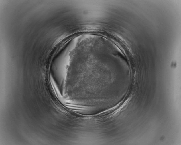 X0000098171449200805151105