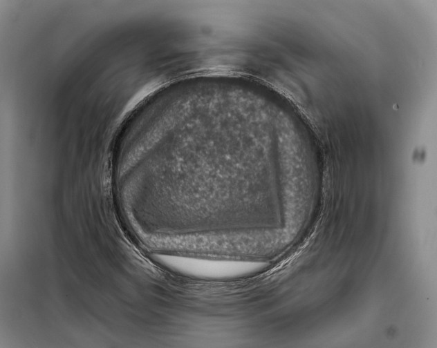 X0000098171450200805151105