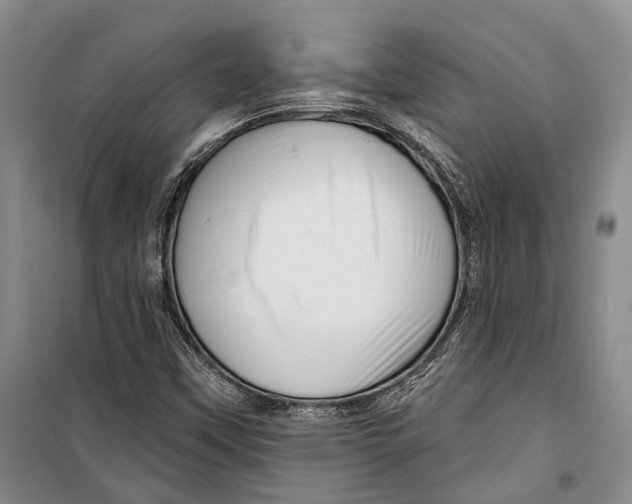 X0000098171451200805151105