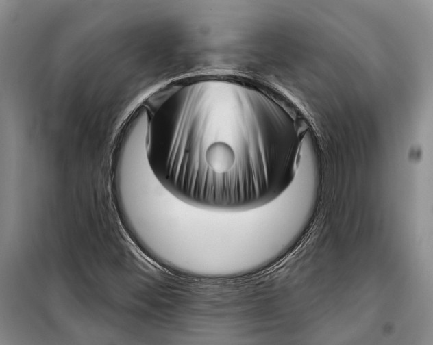 X0000098171452200805151105