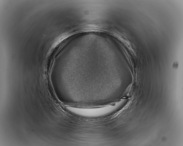 X0000098171453200805151105