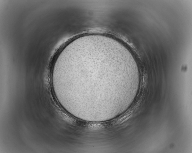 X0000098171454200805151105