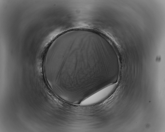 X0000098171455200805151105