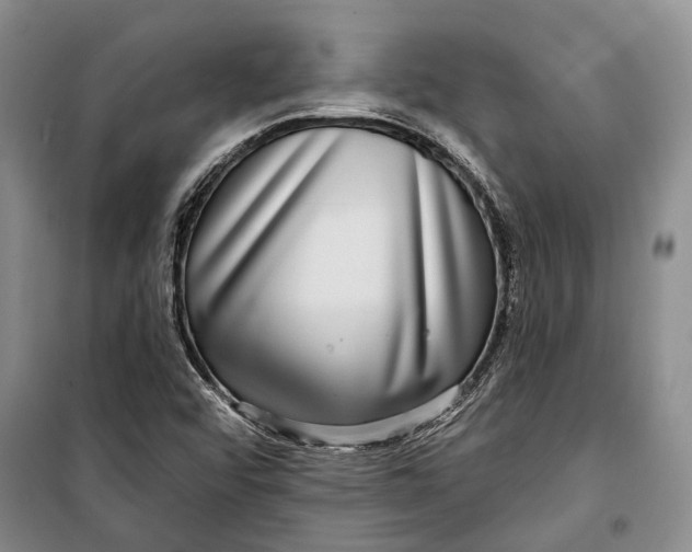 X0000098171456200805151105