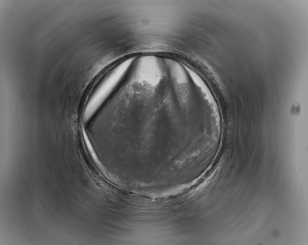 X0000098171457200805151105