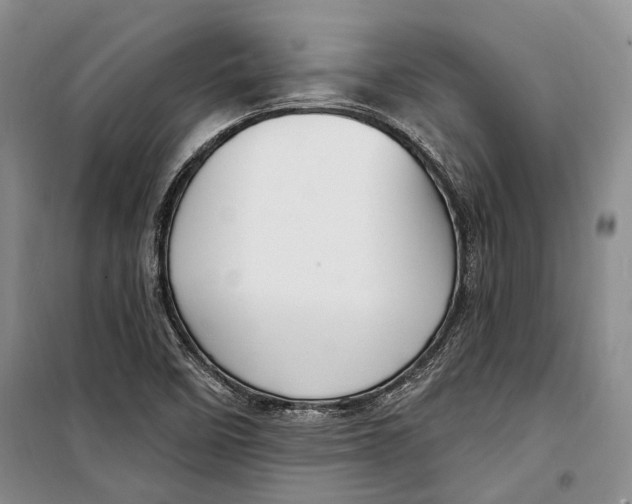 X0000098171458200805151105