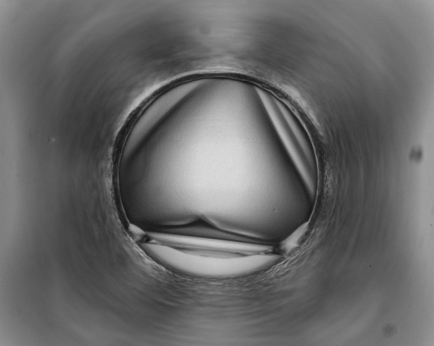 X0000098171460200805151105