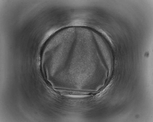 X0000098171461200805151105