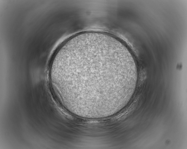 X0000098171462200805151105