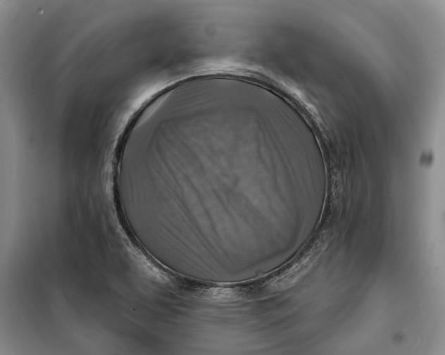 X0000098171463200805151105