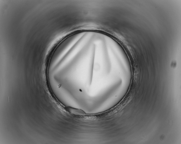 X0000098171464200805151105