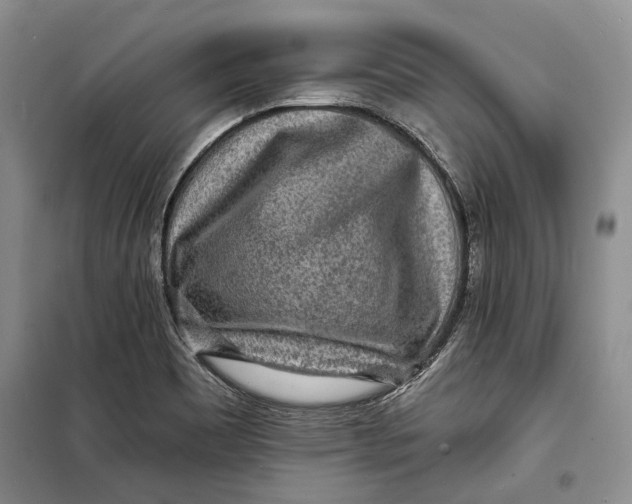 X0000098171465200805151105