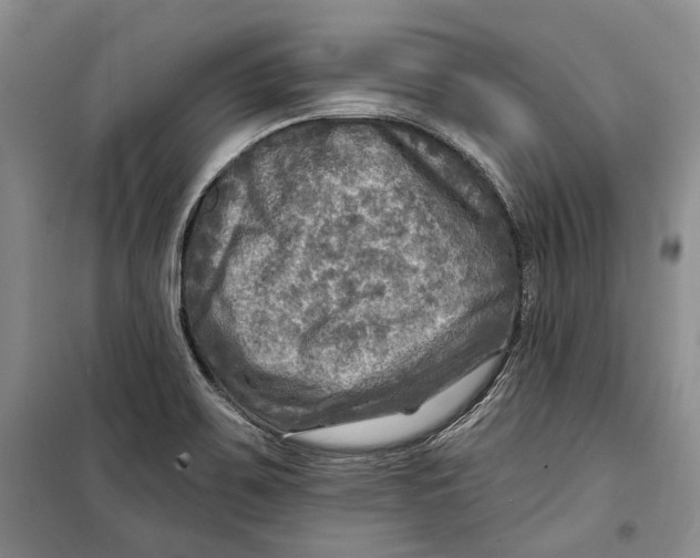 X0000098171467200805151105