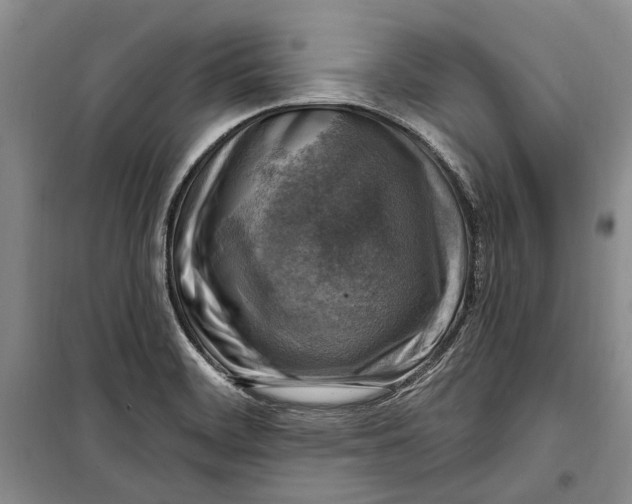 X0000098171468200805151105