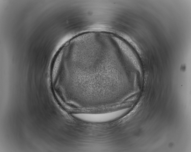 X0000098171469200805151105