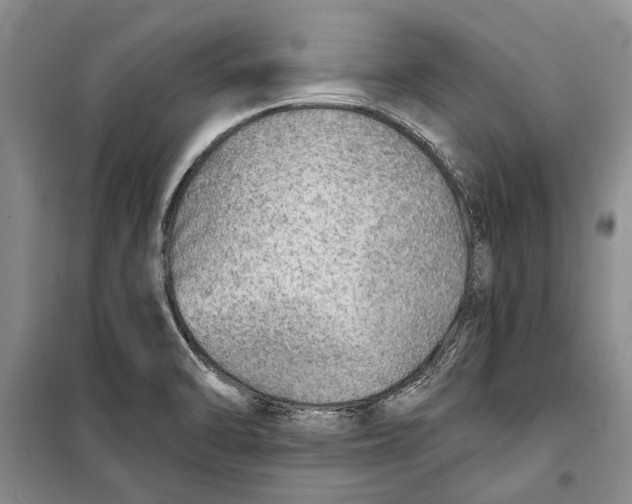 X0000098171470200805151105