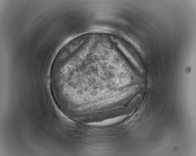 X0000098171471200805151105