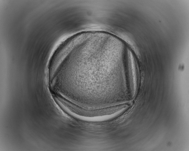 X0000098171472200805151105