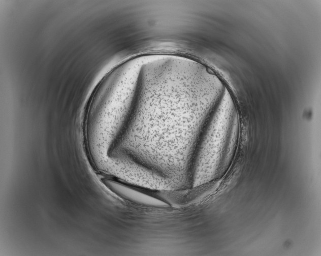 X0000098171475200805151105