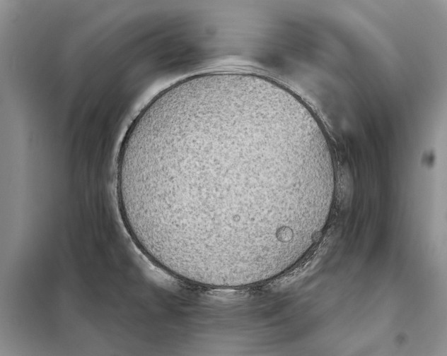 X0000098171478200805151105