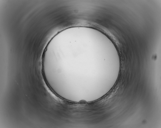 X0000098171479200805151105