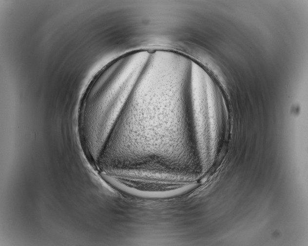 X0000098171480200805151105