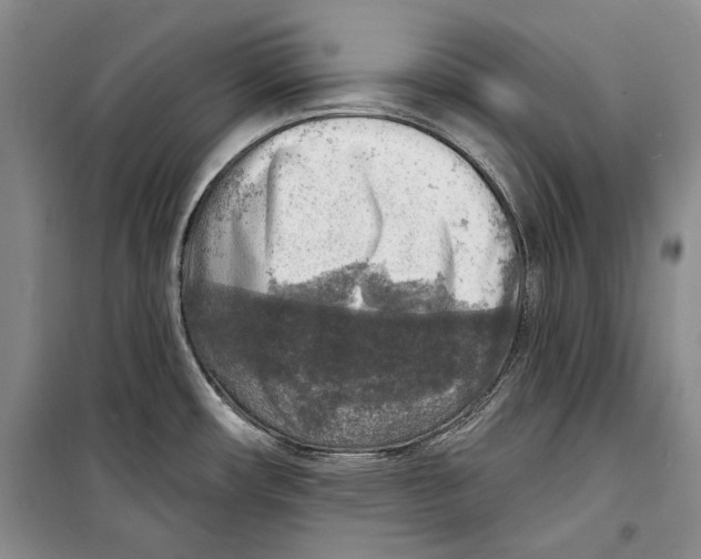 X0000098171482200805151105