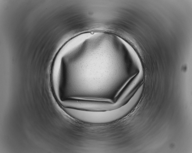 X0000098171483200805151105