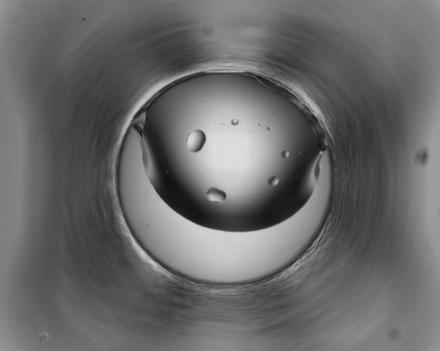 X0000098171484200805151105