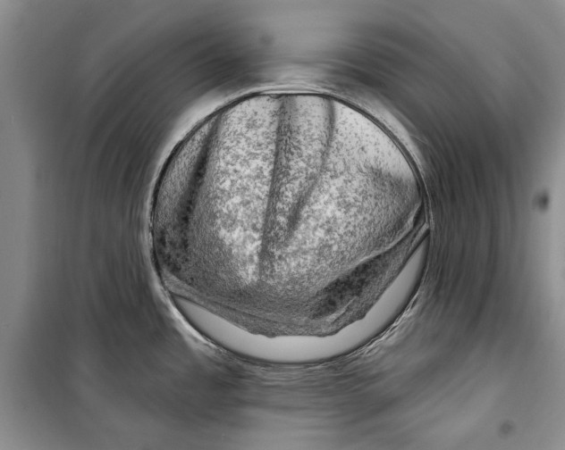 X0000098171485200805151105