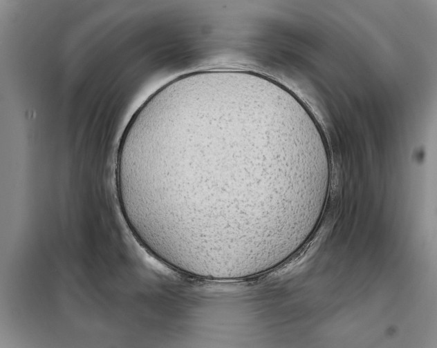 X0000098171486200805151105