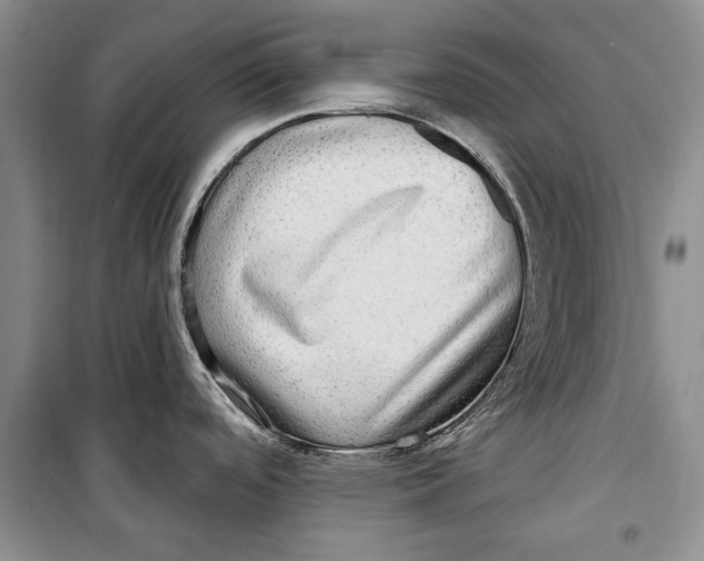 X0000098171488200805151105