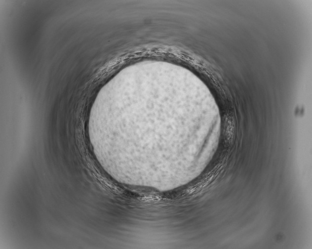 X0000098171489200805151104