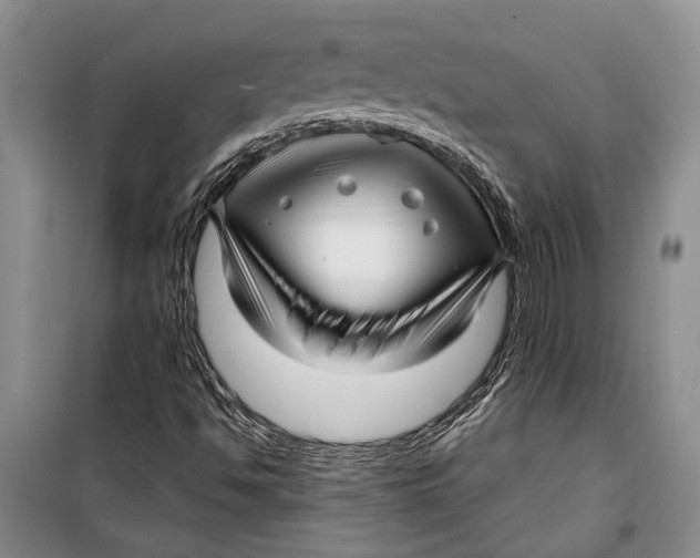 X0000098171494200805151104