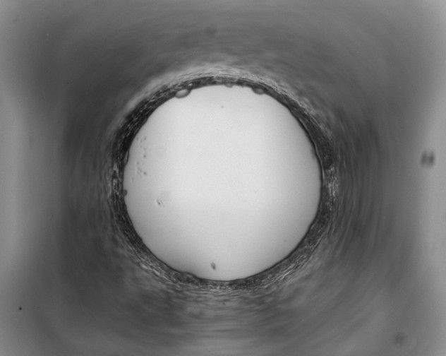 X0000098171495200805151104