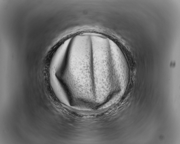 X0000098171496200805151104