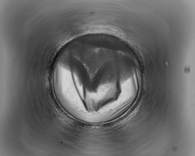 X0000098171497200805151104