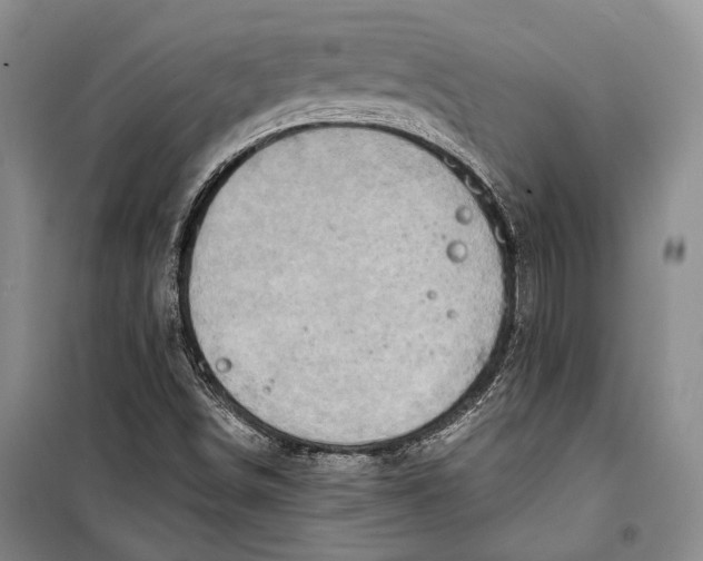 X0000098171498200805151104